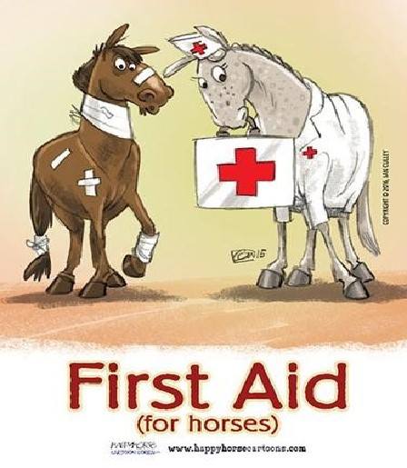 Equine First Aid and Bandaging